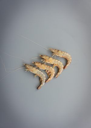 LANGOSTINO MEDIANO (30-40) PZ/KG -- 47,08€/Kg