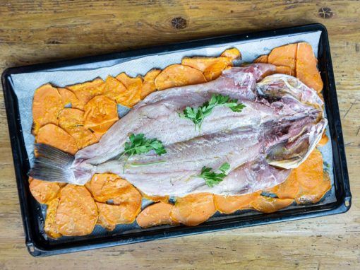 Corvina salvaje al horno con boniato Corvina salvaje al horno con boniato
