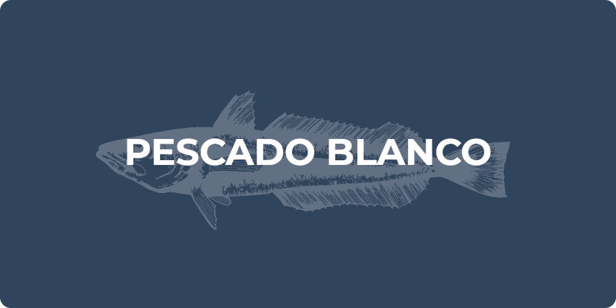 badge-blanco-v4